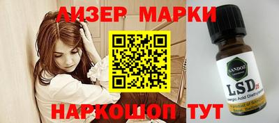 стафф Шахты