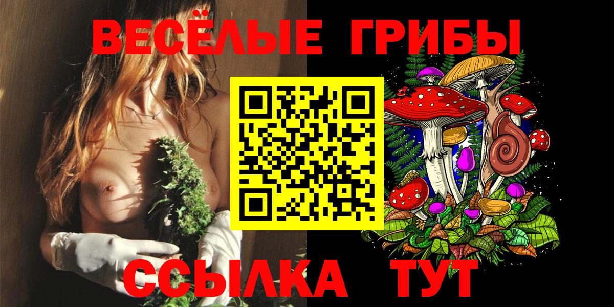 Галлюциногенные грибы Psilocybine cubensis Менделеевск